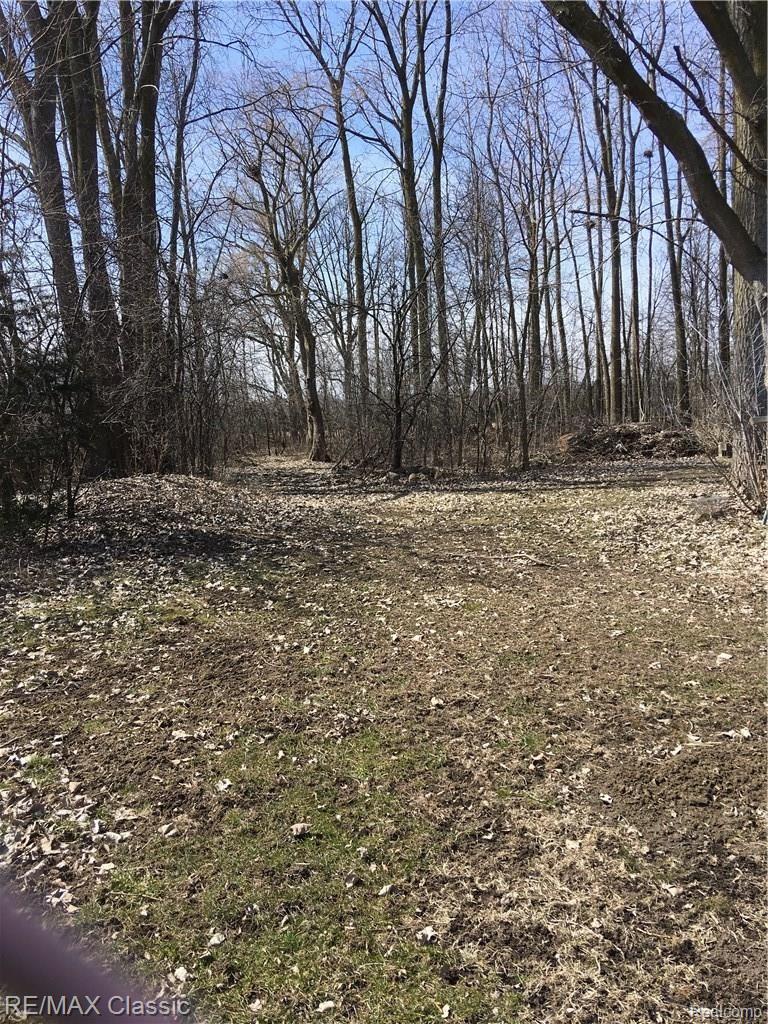 5530 Barr Road Canton, MI 48188 - Photo 8 of 39 IMG_6244.JPG