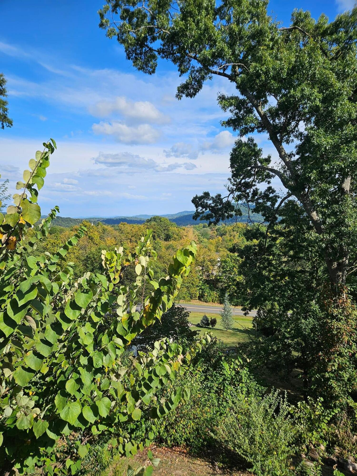 83 Mt Morgan Road Williamsburg, KY 40769 - Photo 53 of 54 IMG_4617