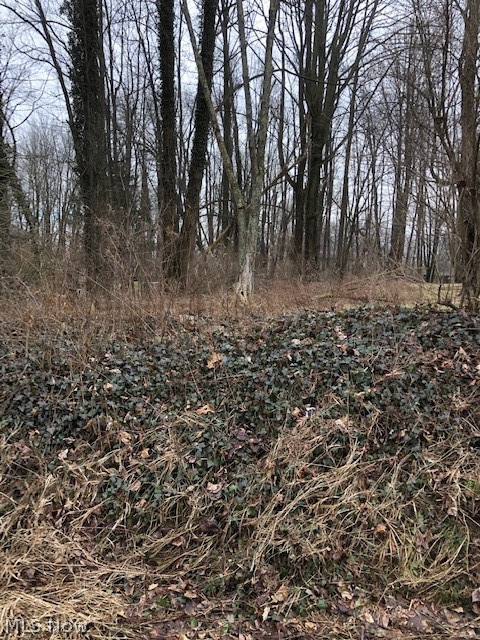 4370 Copley Road Akron, OH 44321 - Photo 3 of 4