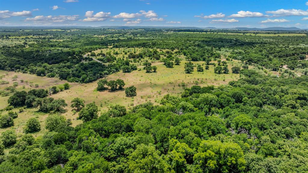 Tbd Cement Mountain Road Bryson, TX 76427 - Photo 18 of 40 a view of a bunch of trees and a yard