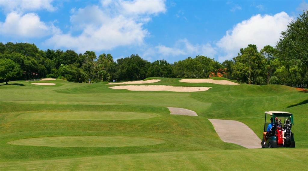 5107 Greencroft Road, Unit 23 Sarasota, FL 34235 - Photo 27 of 35 a view of a golf course with a lake