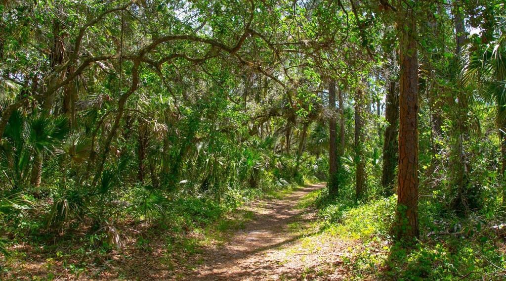 5107 Greencroft Road, Unit 23 Sarasota, FL 34235 - Photo 30 of 35 a view of a lush green forest