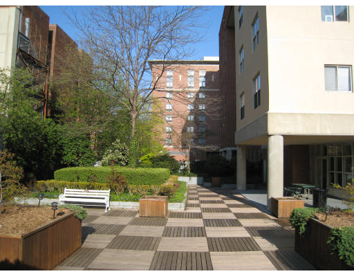 20 Webster Street, Unit 401 Brookline, MA 02446 - Photo 6 of 7 a view of a yard and front view of a building