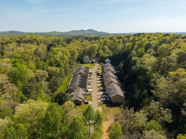 250 Ridgehaven Trail, Unit 3 Ellijay, GA 30536 - Photo 15 of 15