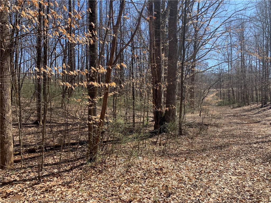 801 Roberson Comer Road Greensboro, NC 27455 - Photo 2 of 4 Gallery Image 2