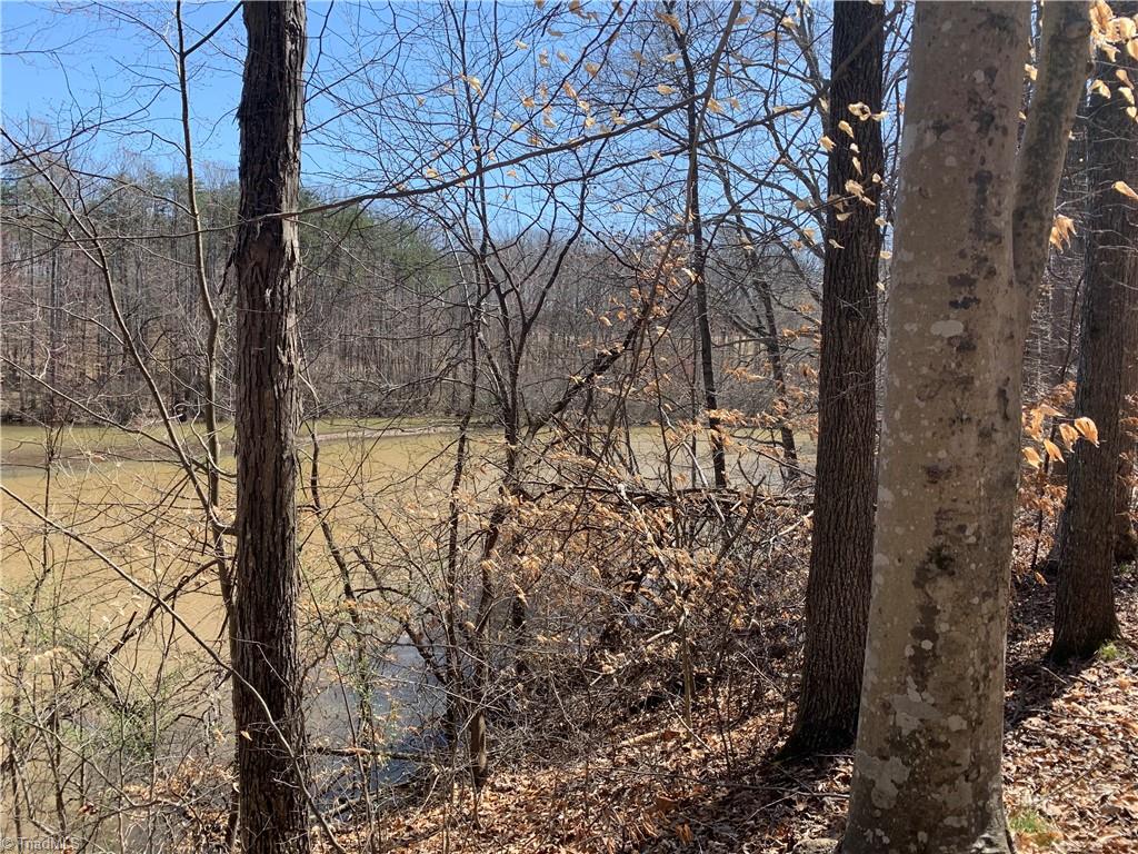 801 Roberson Comer Road Greensboro, NC 27455 - Photo 3 of 4 lake front view , access
