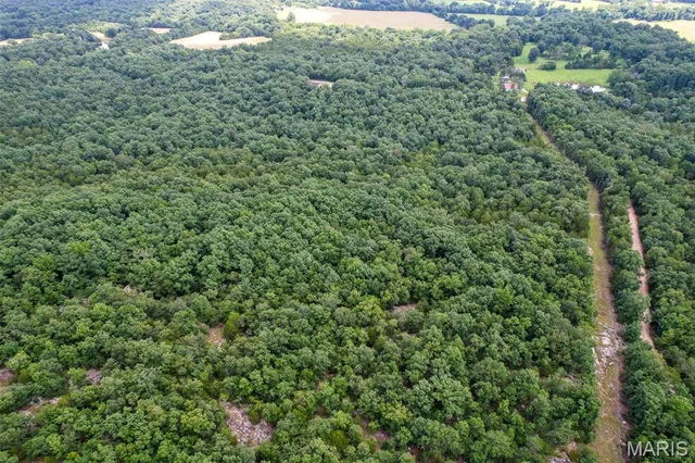 $42,750 | 0 Cr537, Unit 8, Fredericktown, MO 63645