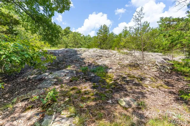 $42,750 | 0 Cr537, Unit 8, Fredericktown, MO 63645