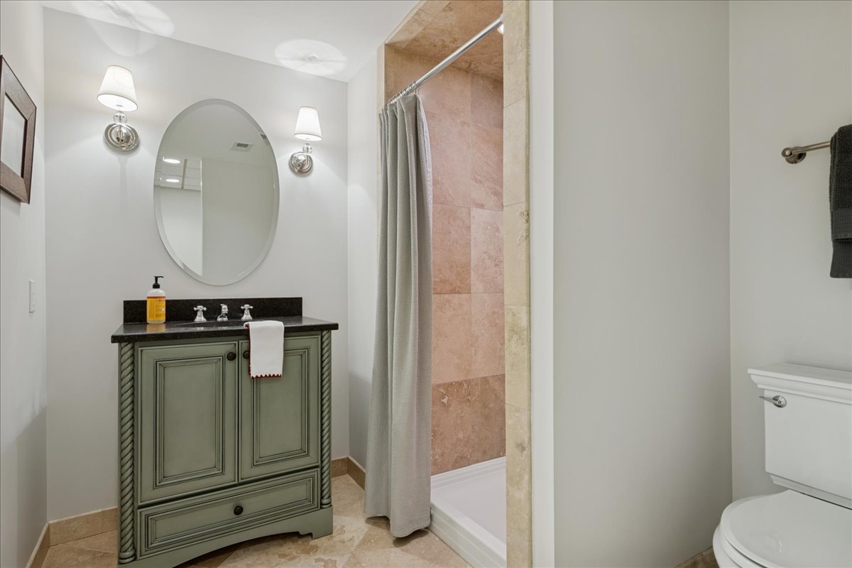 166 North Buckley Road Barrington Hills, IL 60010 - Photo 68 of 86 a bathroom with a sink a toilet and a mirror