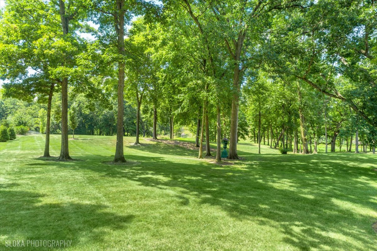 166 North Buckley Road Barrington Hills, IL 60010 - Photo 74 of 86 a view of a trees with a park