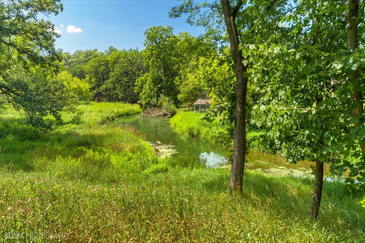 166 North Buckley Road Barrington Hills, IL 60010 - Photo 75 of 86
