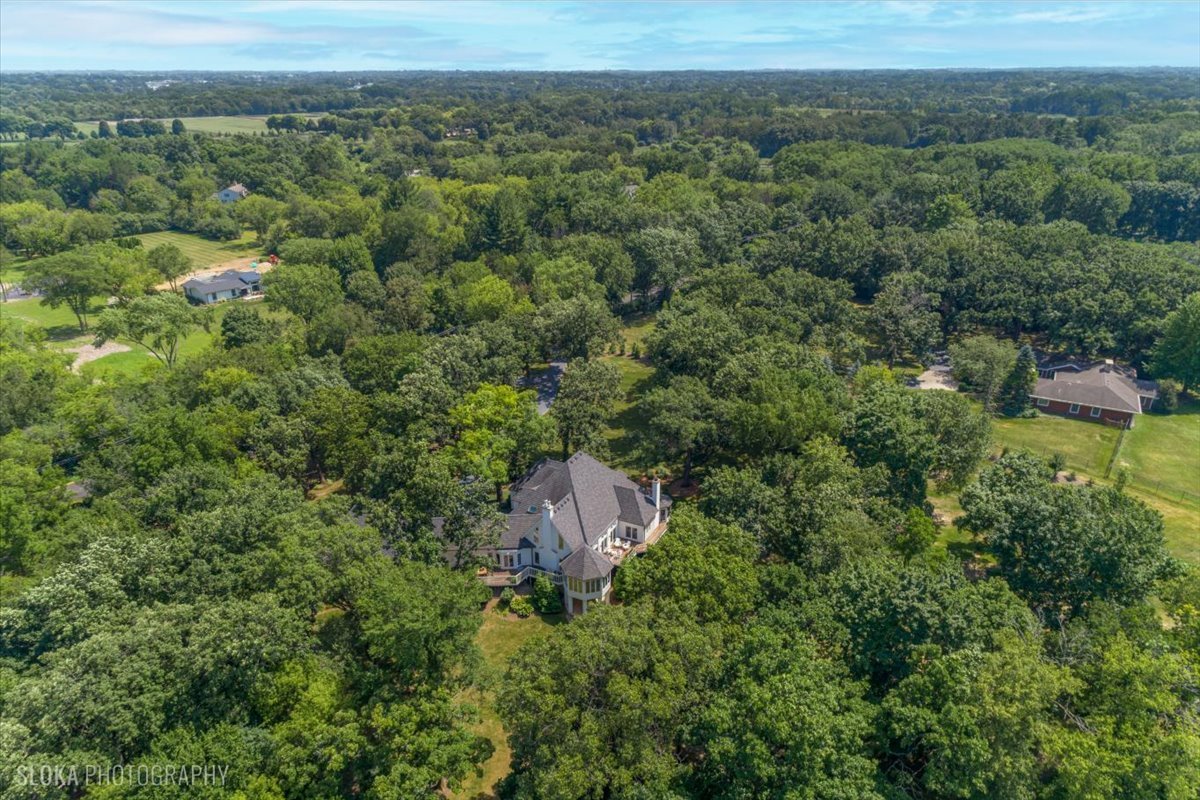 166 North Buckley Road Barrington Hills, IL 60010 - Photo 76 of 86 an aerial view of a house with a yard