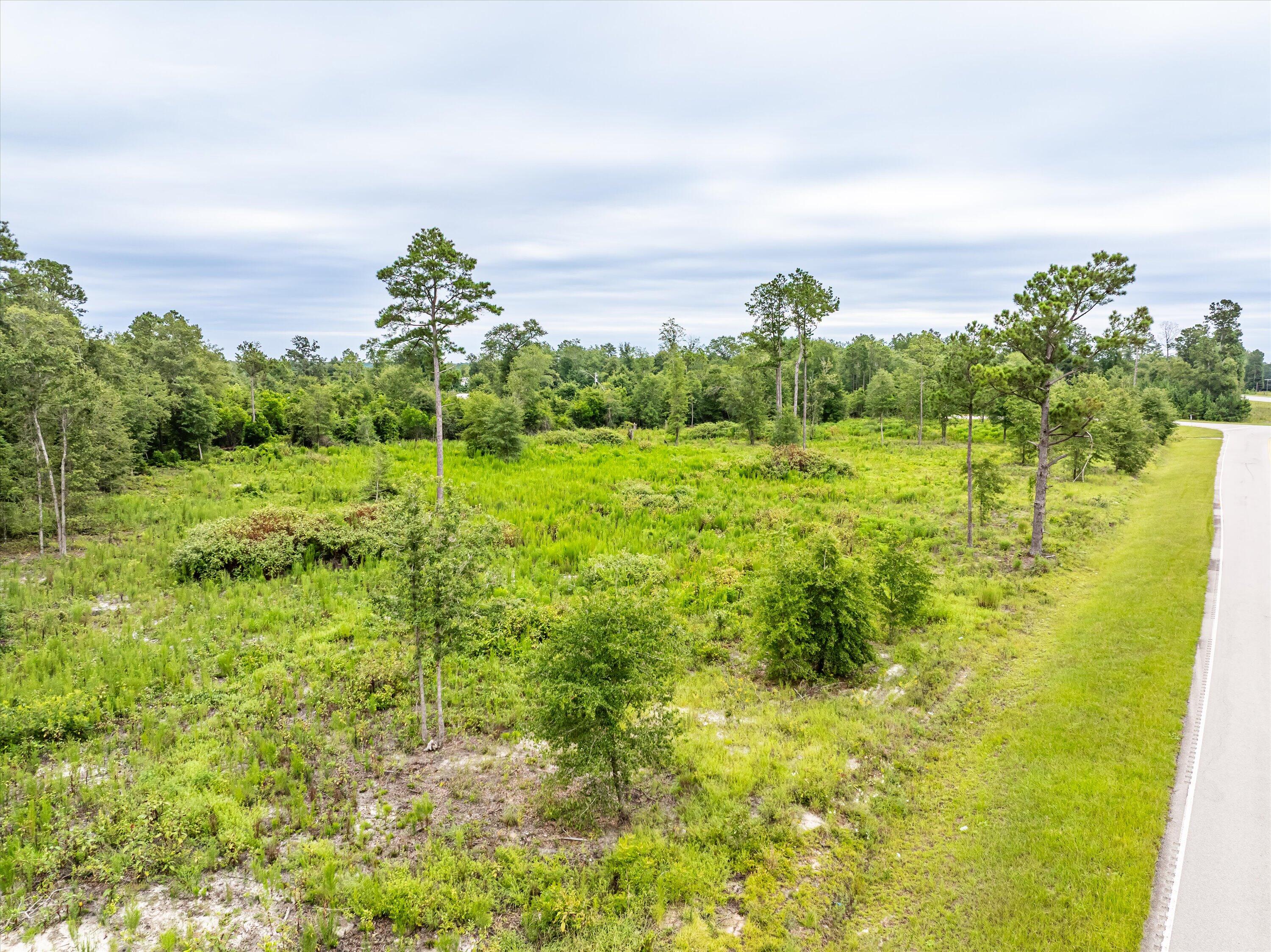 Tbd Old Barnwell Road Williston, SC 29853 - Photo 17 of 18 07-DJI_0507-HDR