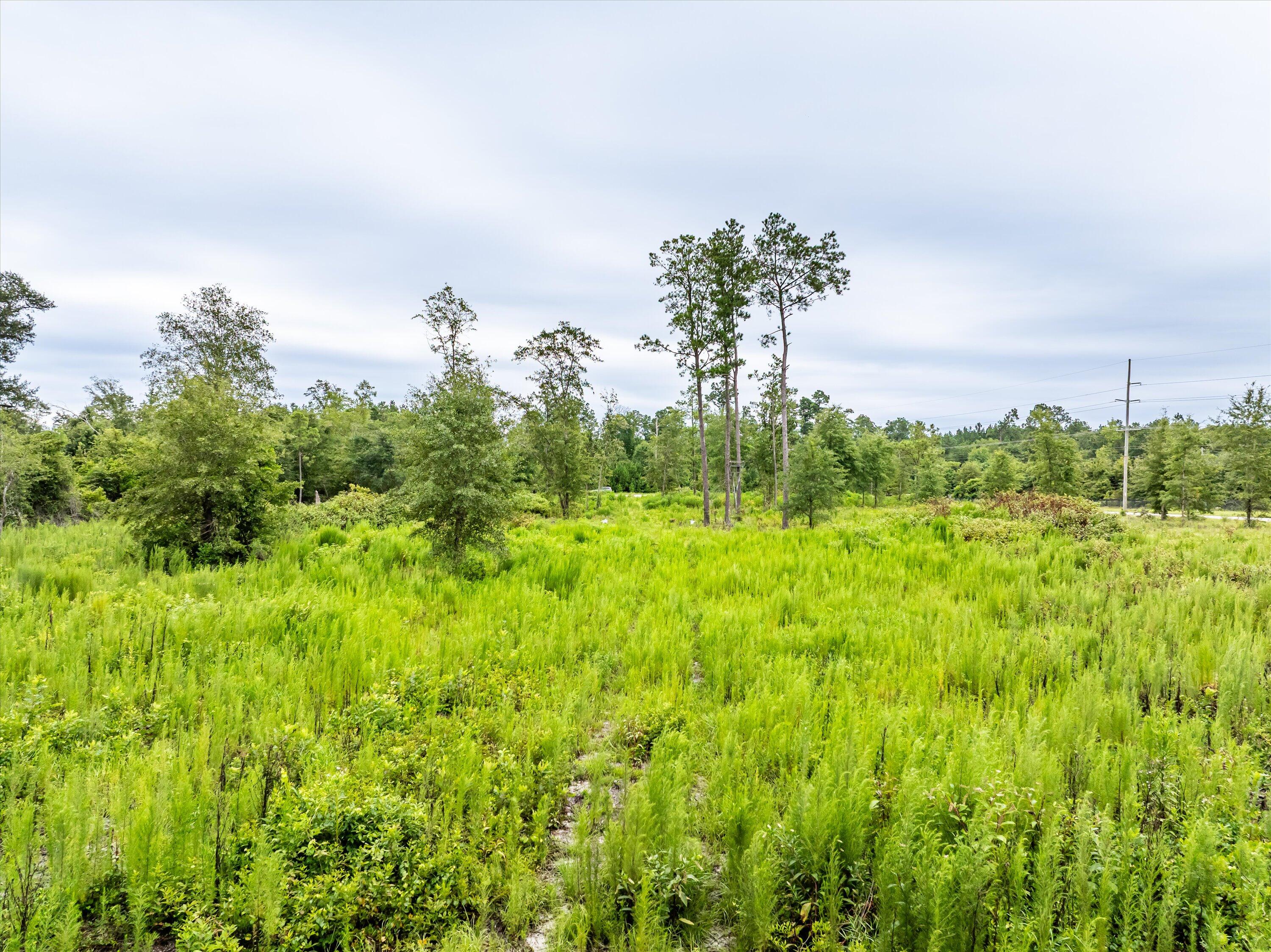 Tbd Old Barnwell Road Williston, SC 29853 - Photo 18 of 18 05-DJI_0501-HDR