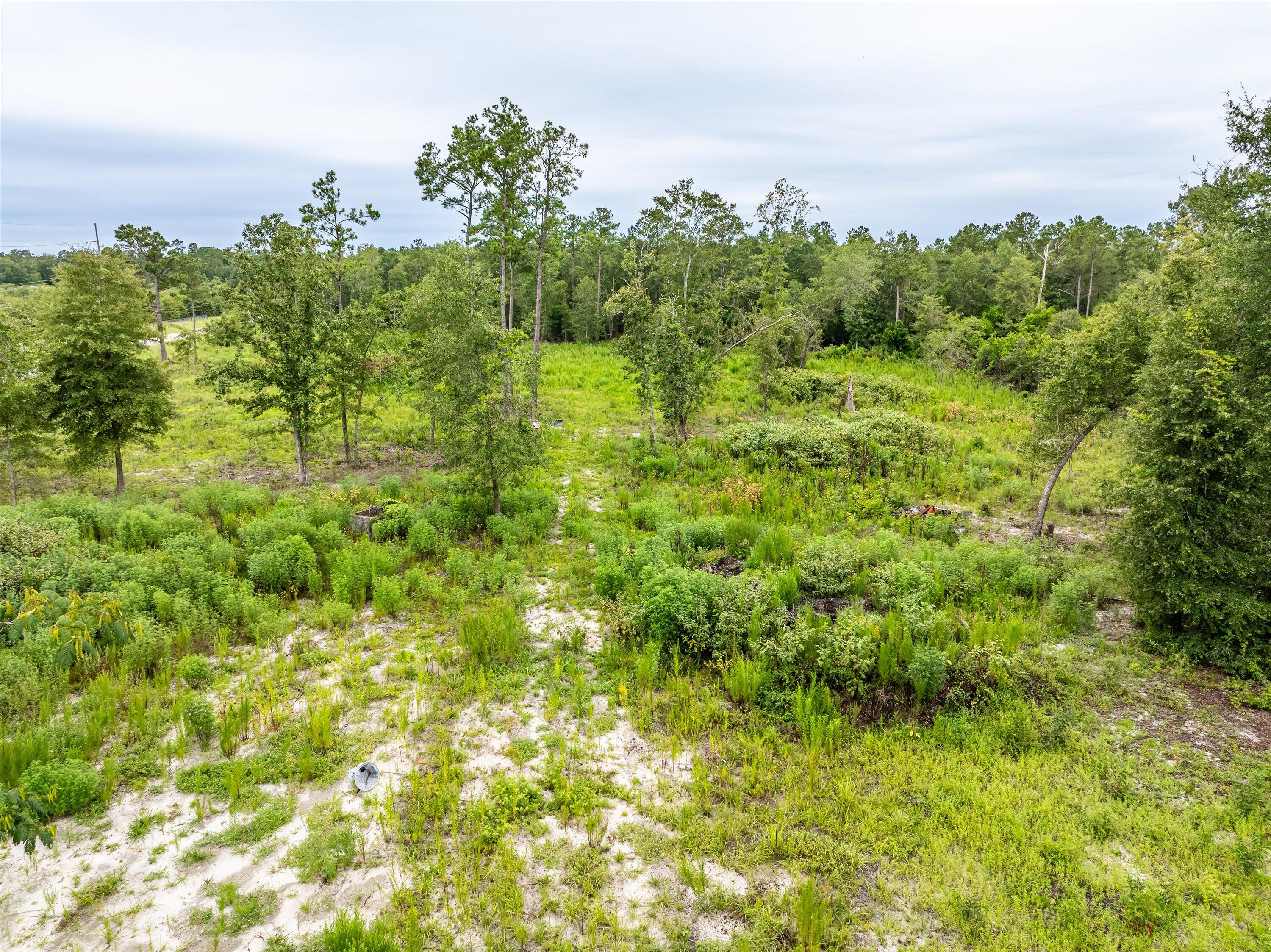 Tbd Old Barnwell Road Williston, SC 29853 - Photo 7 of 18 03-DJI_0495-HDR
