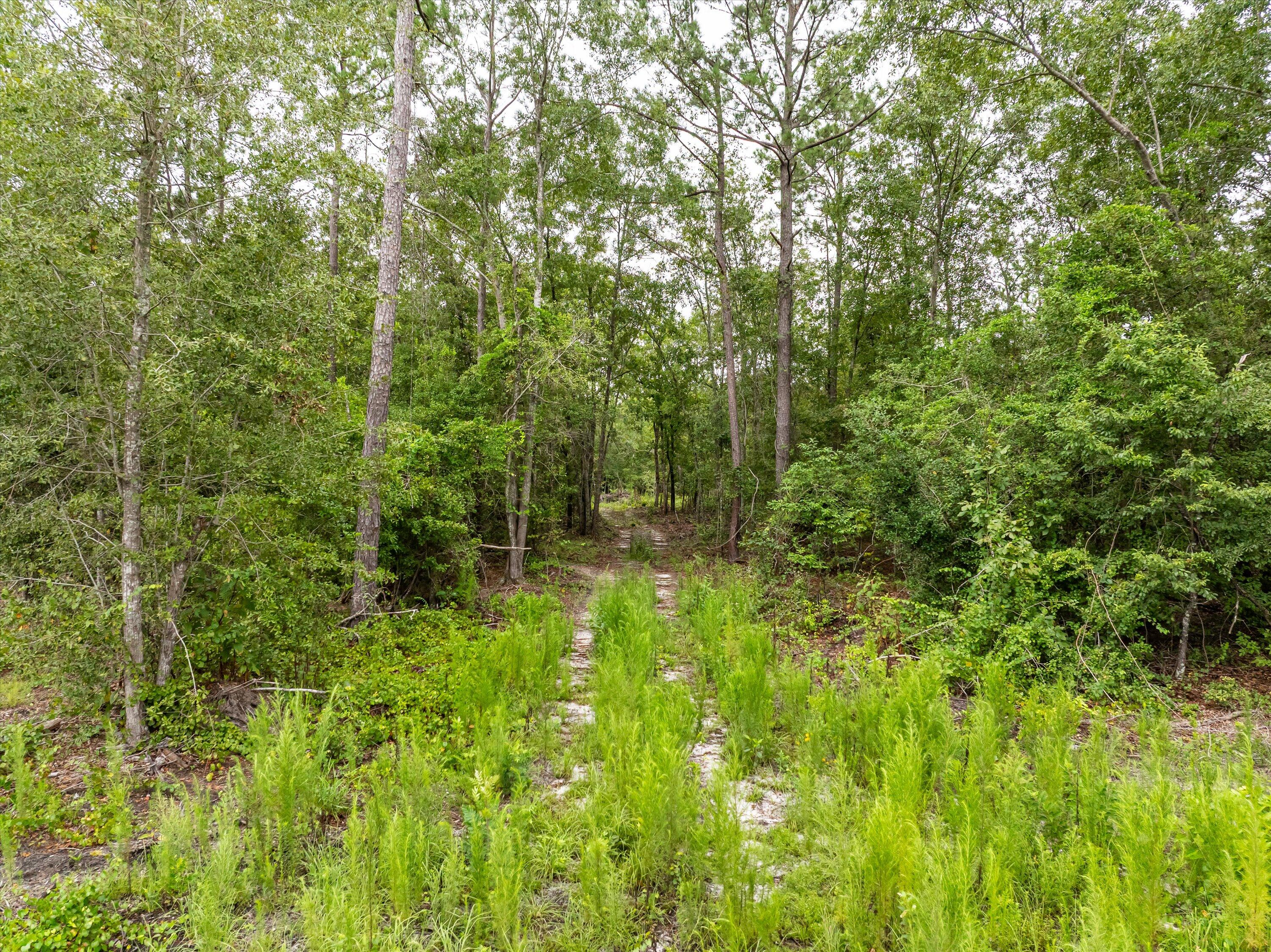 Tbd Old Barnwell Road Williston, SC 29853 - Photo 8 of 18 06-DJI_0504-HDR