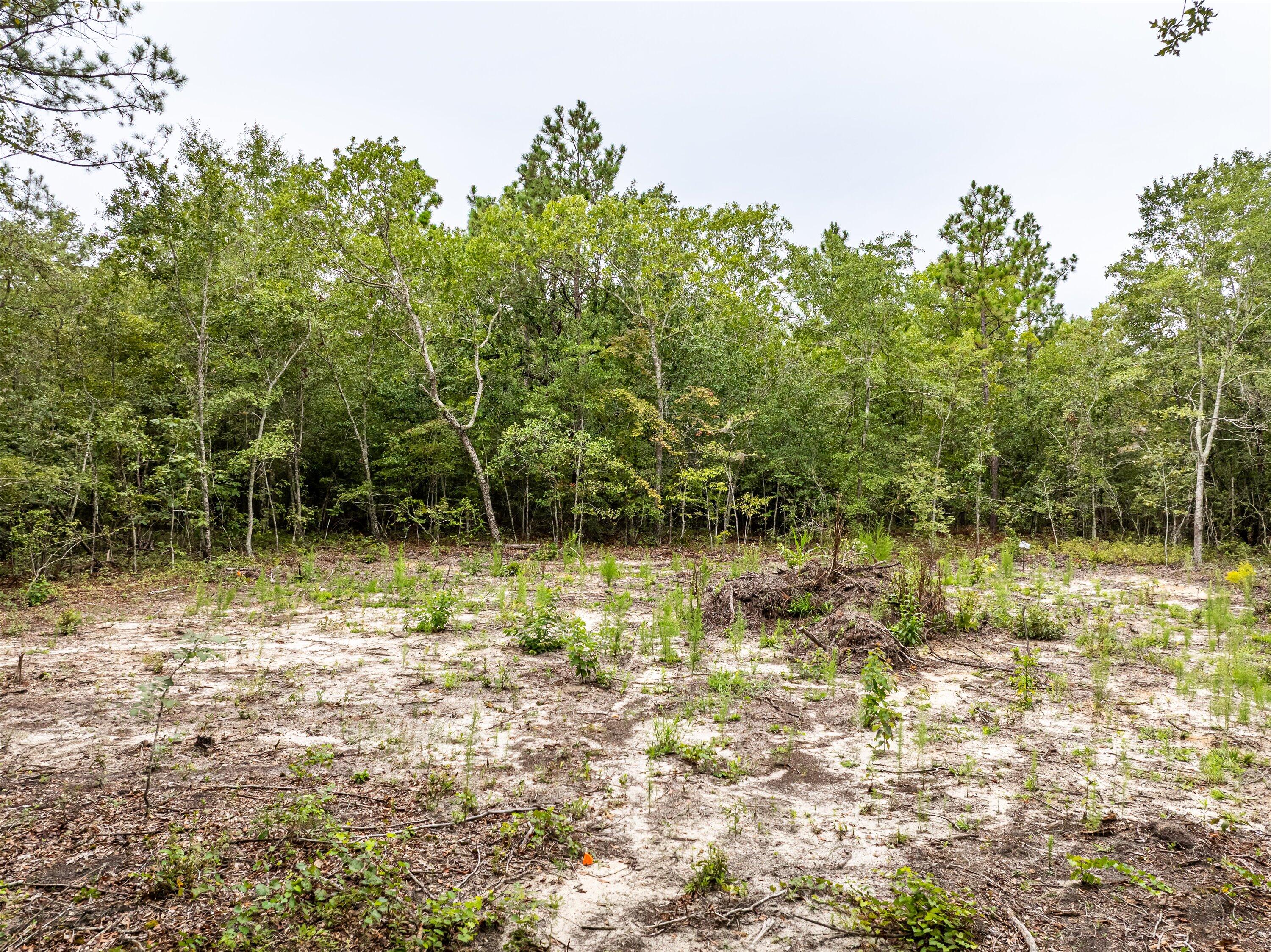 Tbd Old Barnwell Road Williston, SC 29853 - Photo 10 of 18 09-DJI_0513-HDR