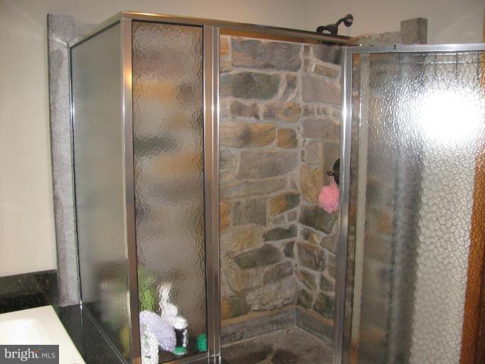 13722 Orchard Ridge Road Hancock, MD 21750 - Photo 10 of 30 Master Bath #2