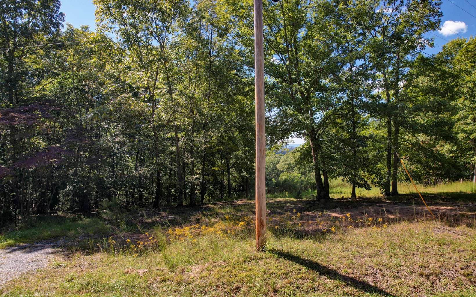 Toccoa Farm Road Morganton, GA 30560 - Photo 11 of 17 Additional View