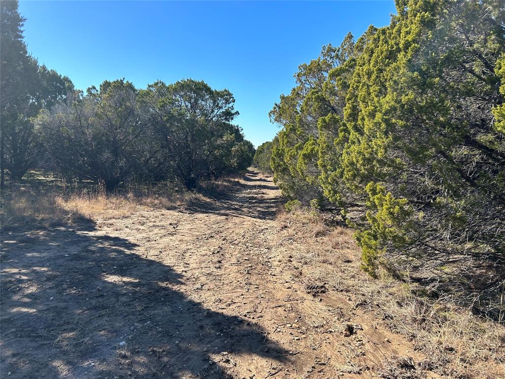 330 Fort Graham Whitney, TX 76692 - Photo 9 of 12