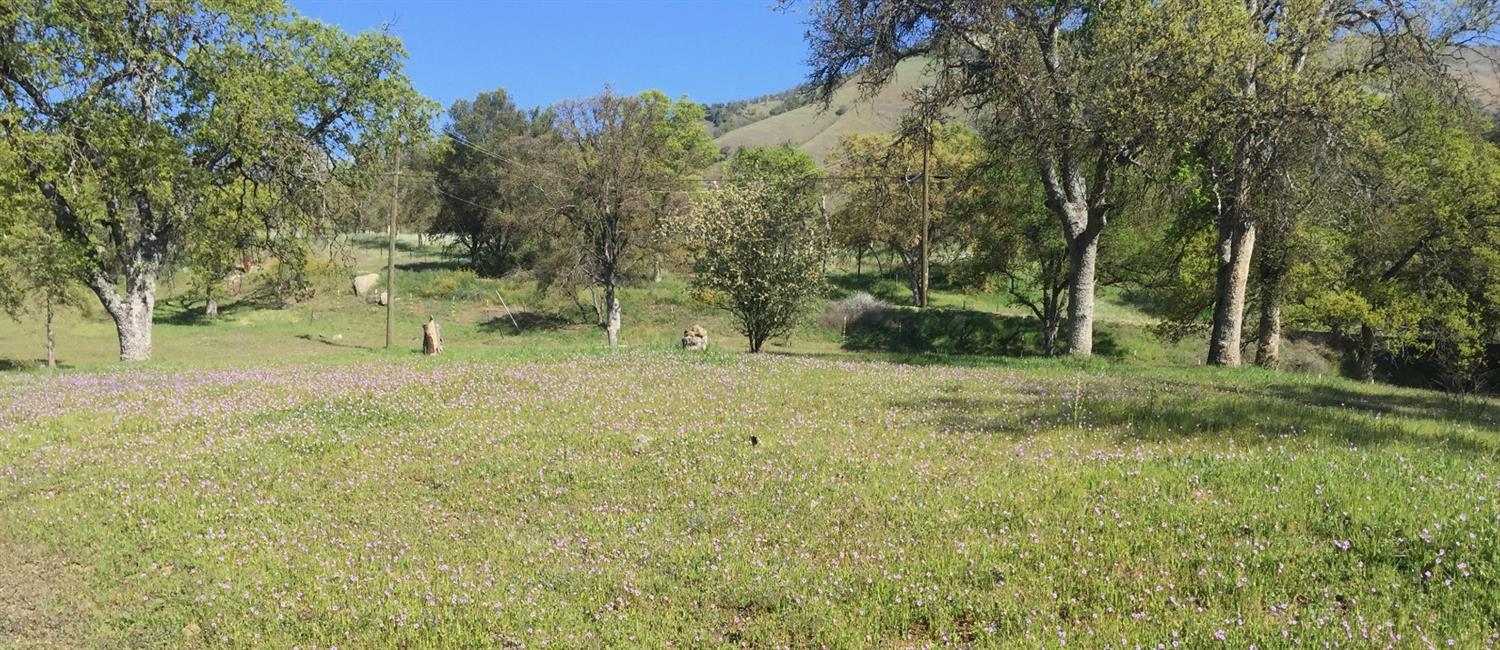 31385 East Trimmer Springs Road Sanger, CA 93657 - Photo 24 of 27 Gallery Image 24