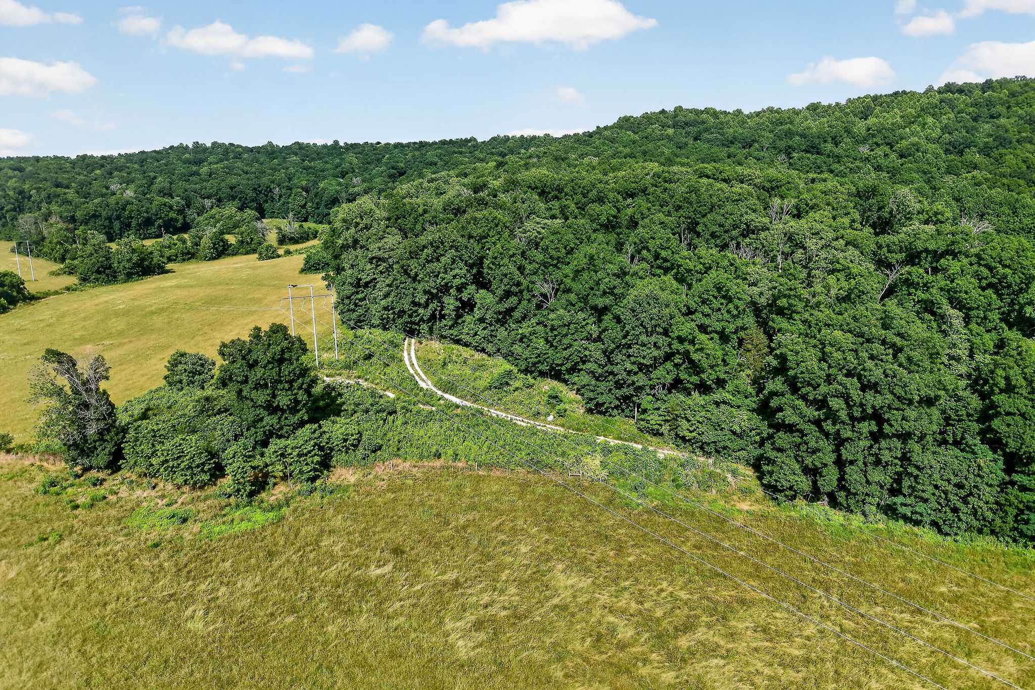 0 Moore Cove Road Sparta, TN 38583 - Photo 5 of 19