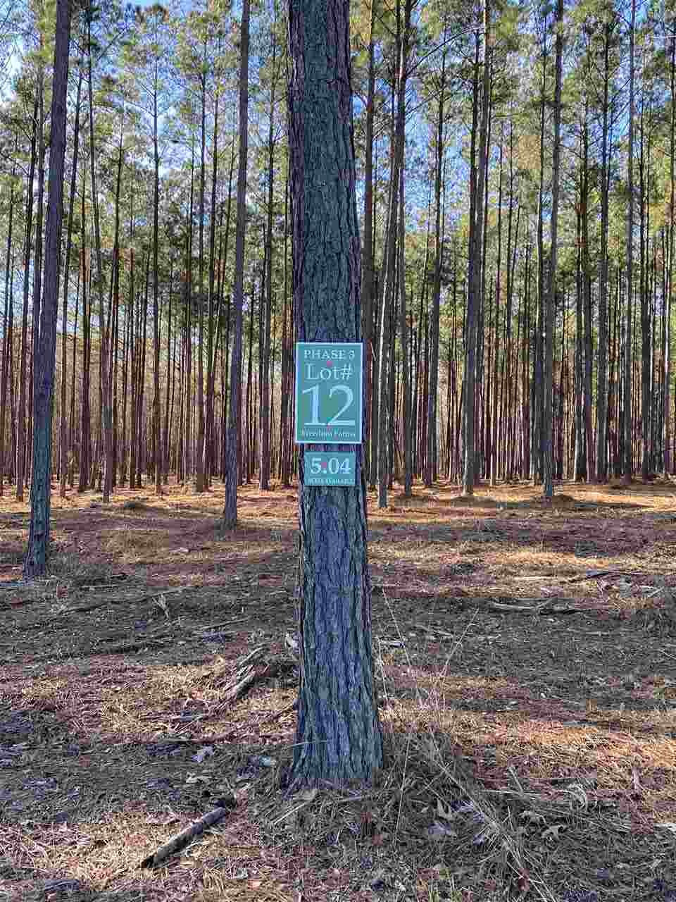 609 Stump Ridge Road, Unit 12 Brandon, MS 39047 - Photo 1 of 5 Photo 1