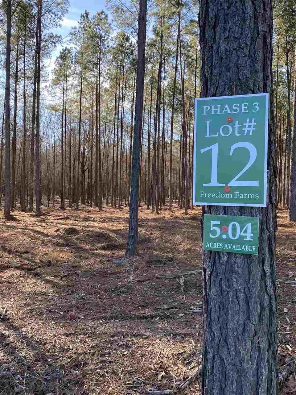 609 Stump Ridge Road, Unit 12 Brandon, MS 39047 - Photo 2 of 5 Photo 2