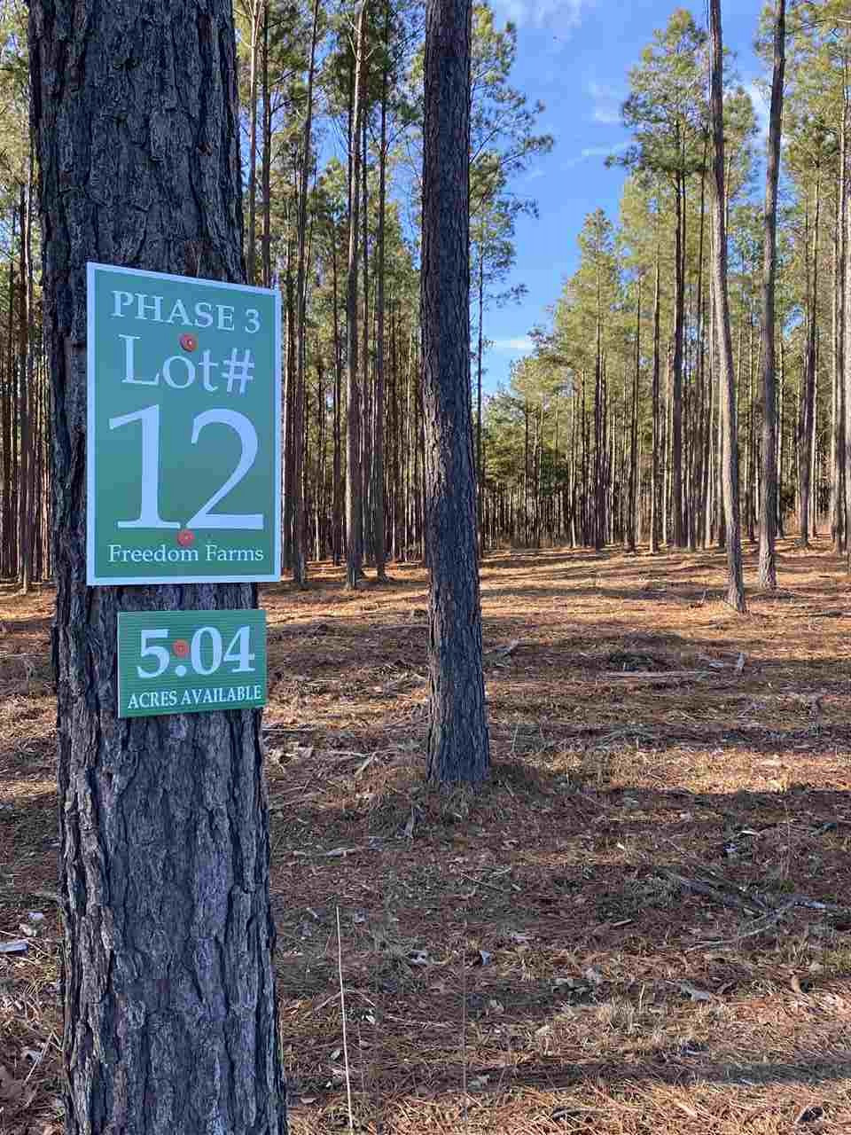 609 Stump Ridge Road, Unit 12 Brandon, MS 39047 - Photo 3 of 5 Photo 3