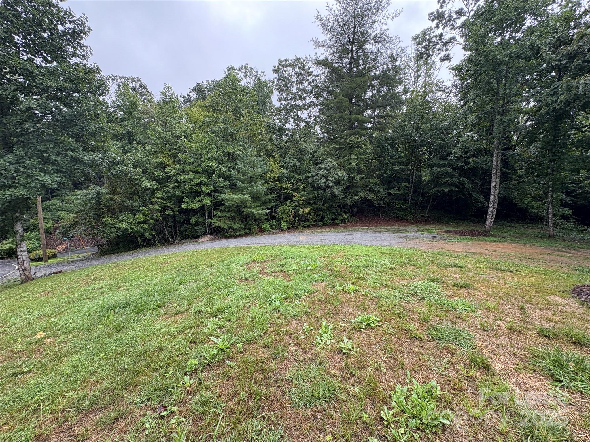1175 Kilpatrick Road Hendersonville, NC 28739 - Photo 29 of 34 a view of backyard with green space