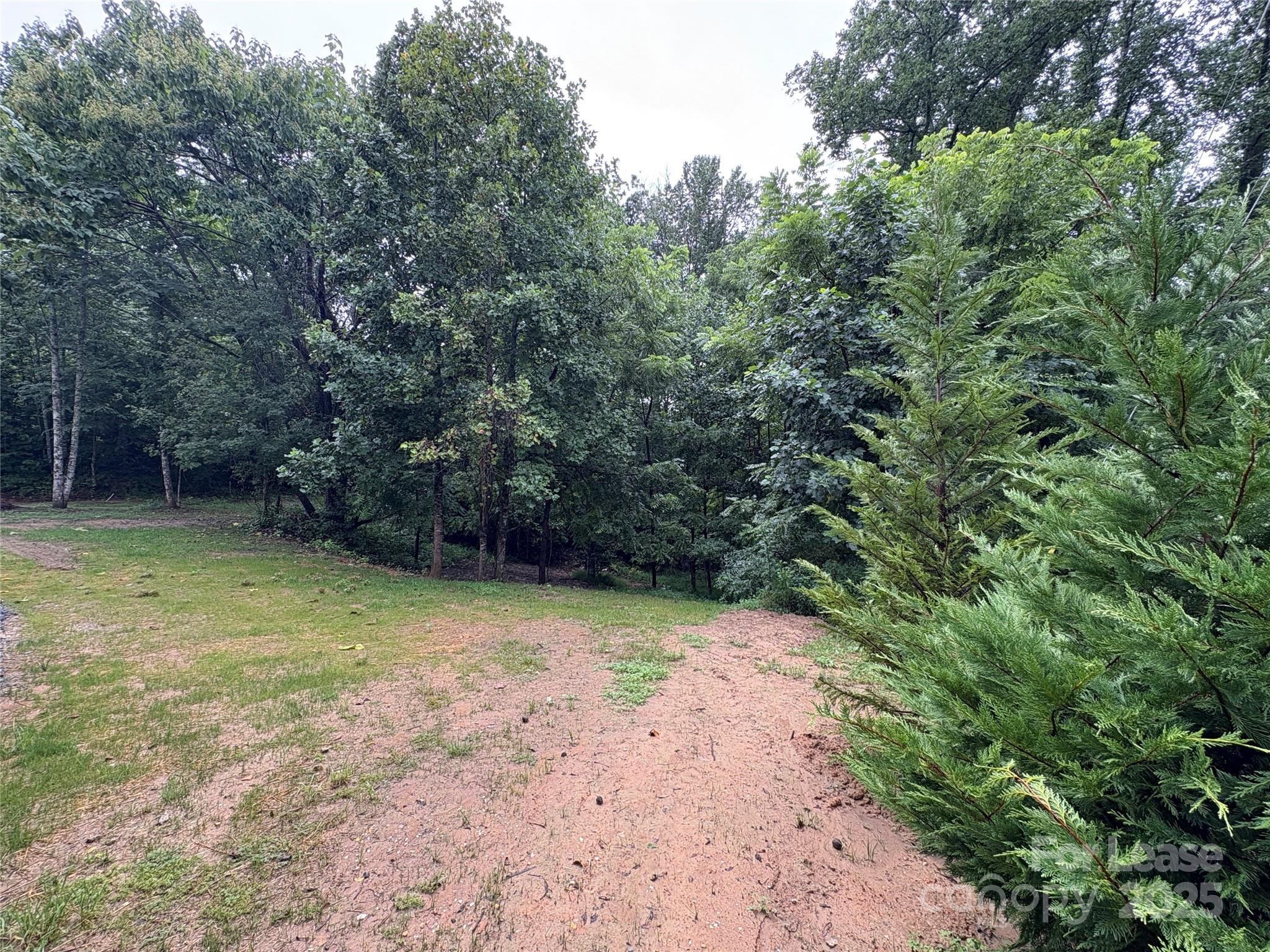 1175 Kilpatrick Road Hendersonville, NC 28739 - Photo 33 of 34 a view of a backyard with green space