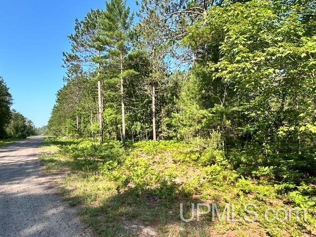 Lot 62 Little Rice Lake Road Lake Linden, MI 49945 - Photo 29 of 52 Gallery Image 29