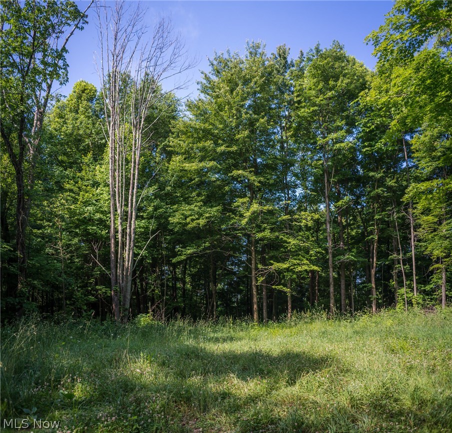 78600 Green Road Tippecanoe, OH 44699 - Photo 12 of 26 Gallery Image 12
