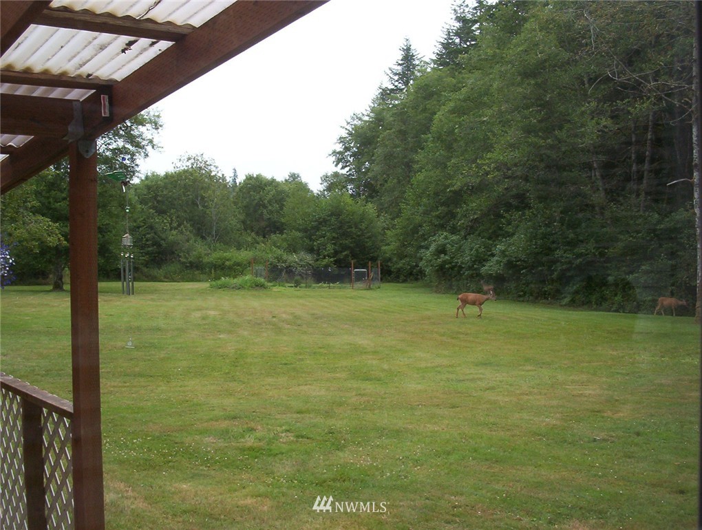 1931 West Beeville Loop Road Matlock, WA 98560 - Photo 19 of 25 Gallery Image 19