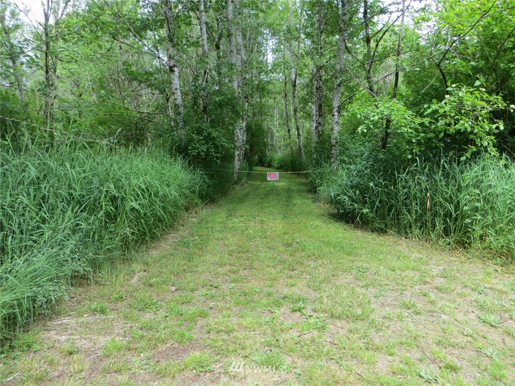 1931 West Beeville Loop Road Matlock, WA 98560 - Photo 25 of 25 Gallery Image 25