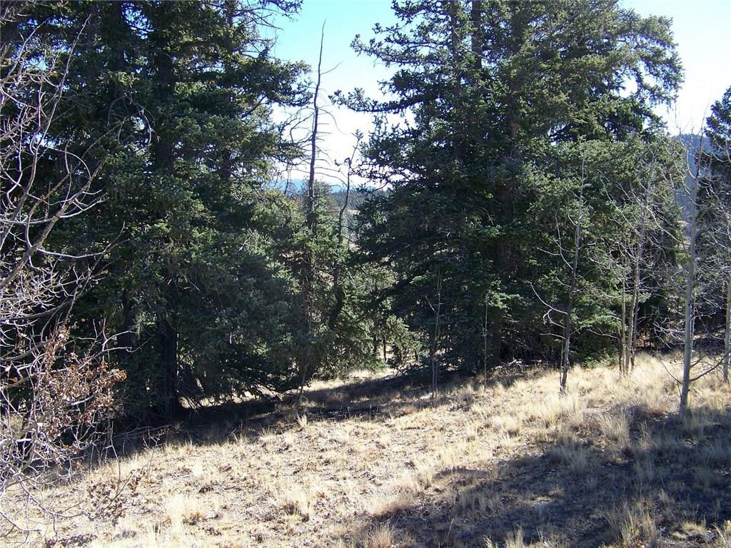 107 Pathfinder Road Como, CO 80456 - Photo 3 of 6 Gallery Image 3