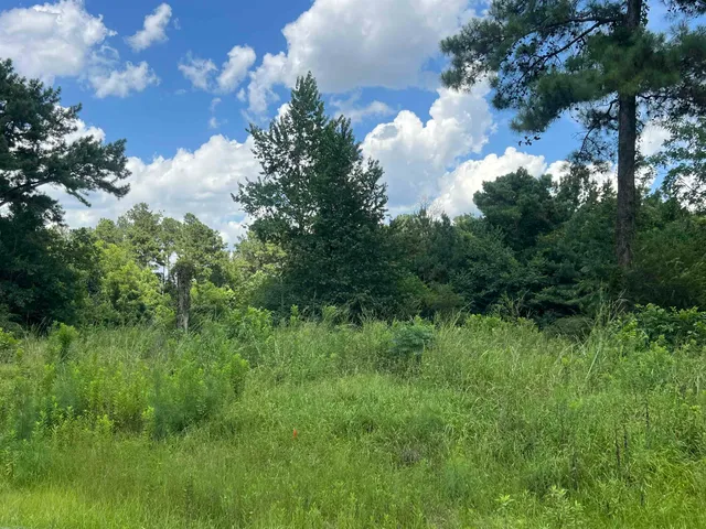 $60,000 | 300 Twin Ponds Drive, Havana, FL 32333