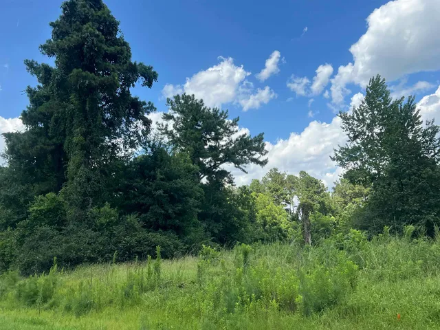 $60,000 | 300 Twin Ponds Drive, Havana, FL 32333