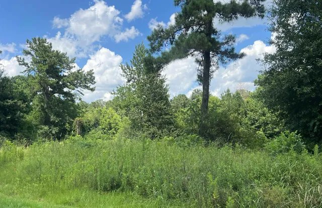 $60,000 | 300 Twin Ponds Drive, Havana, FL 32333