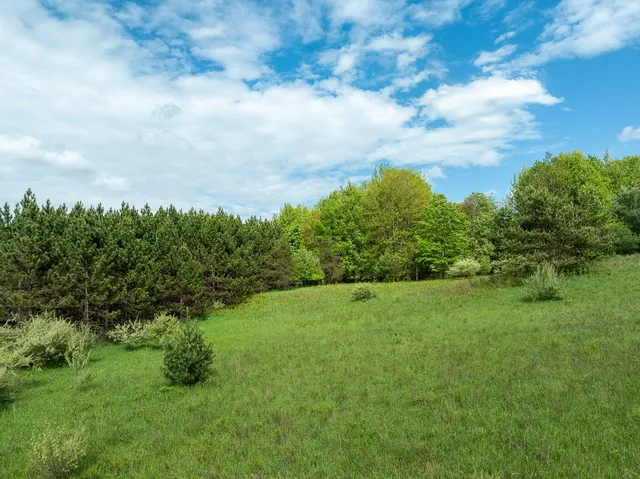 $799,000 | 157.22 East 24th Street, Reed City, MI 49677