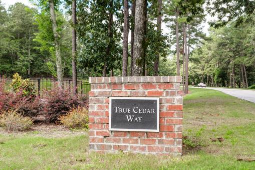 437 True Cedar Way Aiken, SC 29803 - Photo 8 of 34 mmo8frwo50