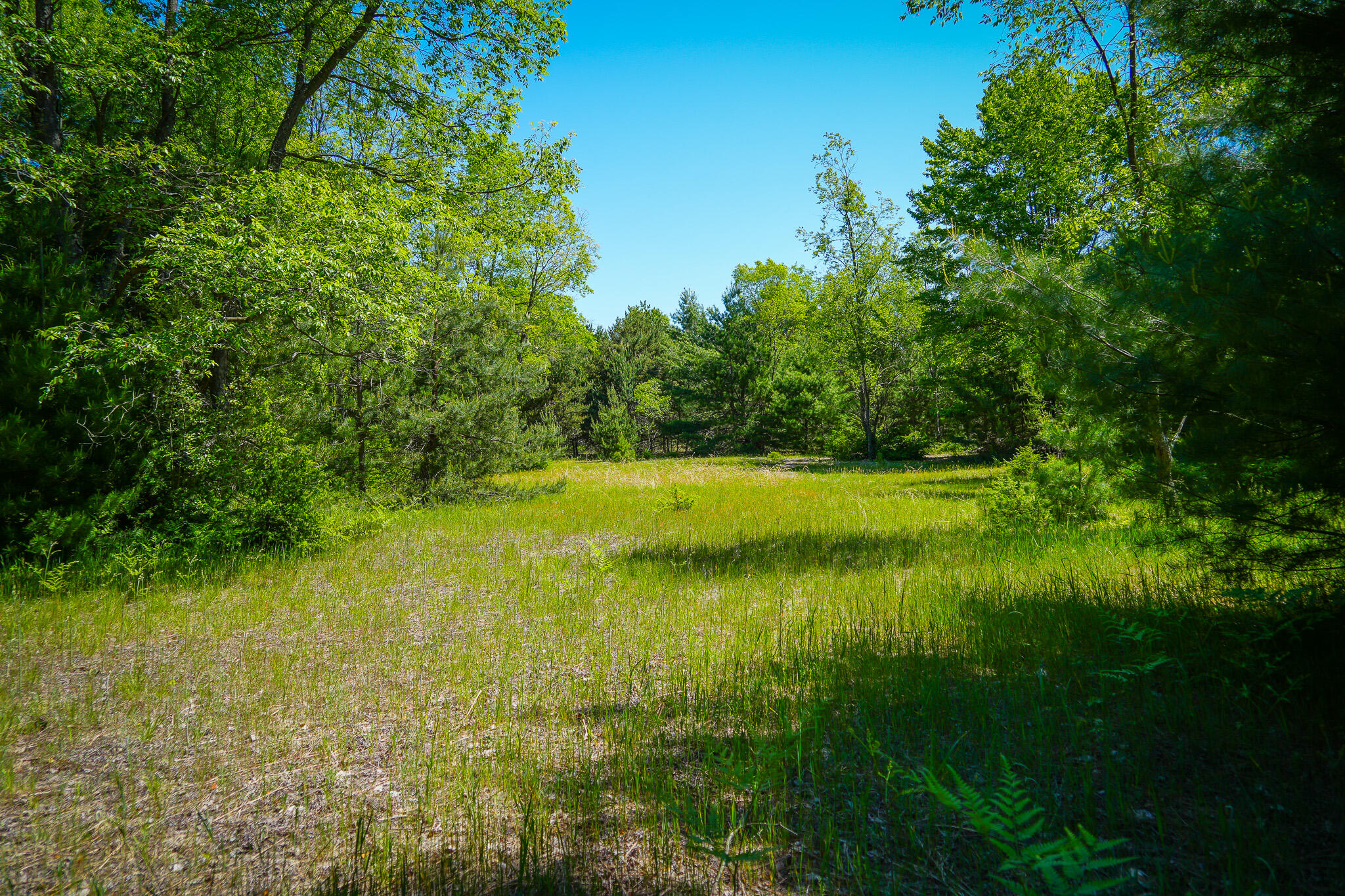 Parcel C Niemi Road Kaleva, MI 49645 - Photo 19 of 28 DSC00242