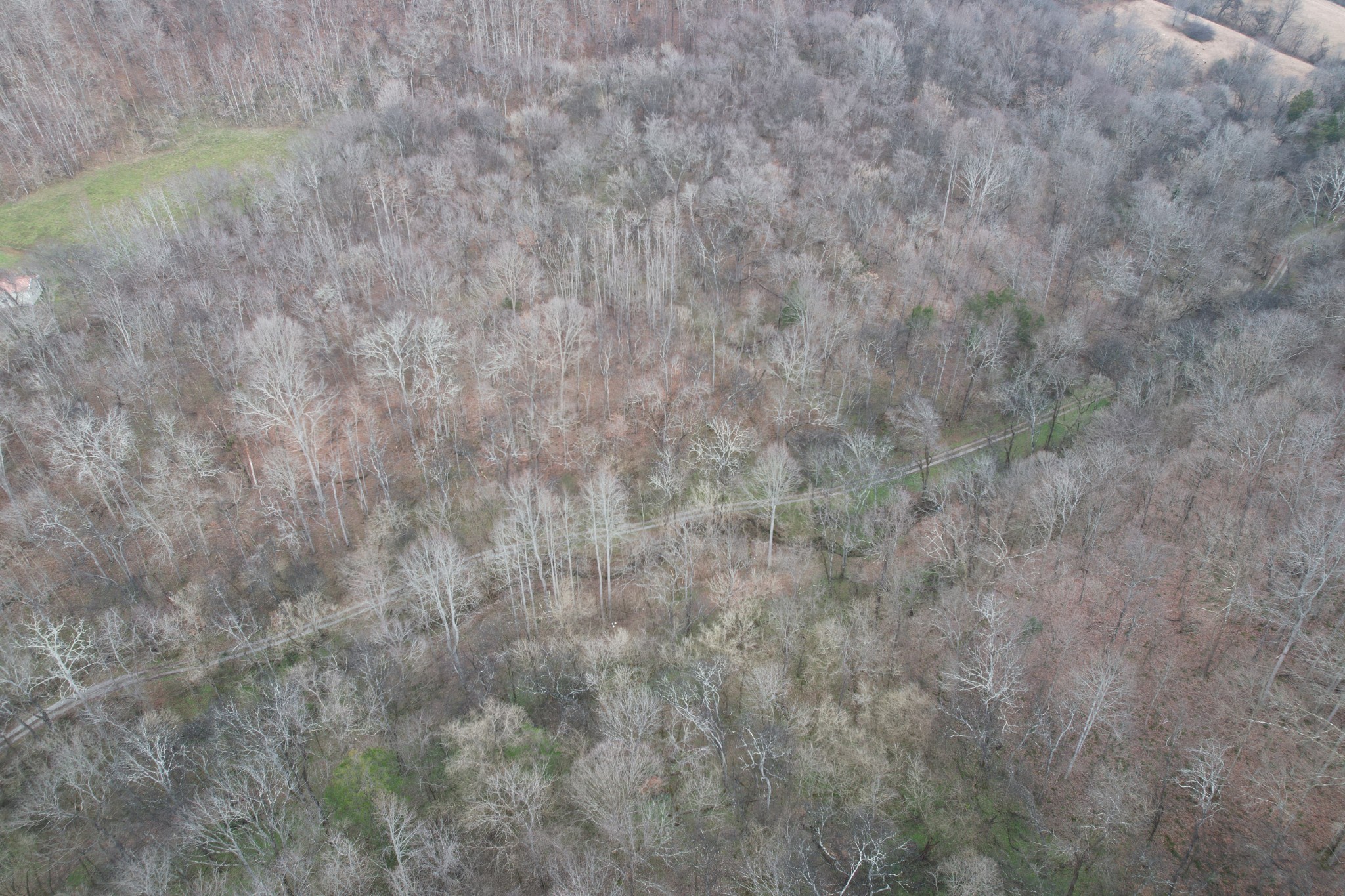 0 Club Springs Road Elmwood, TN 38560 - Photo 6 of 9 a view of a dry yard