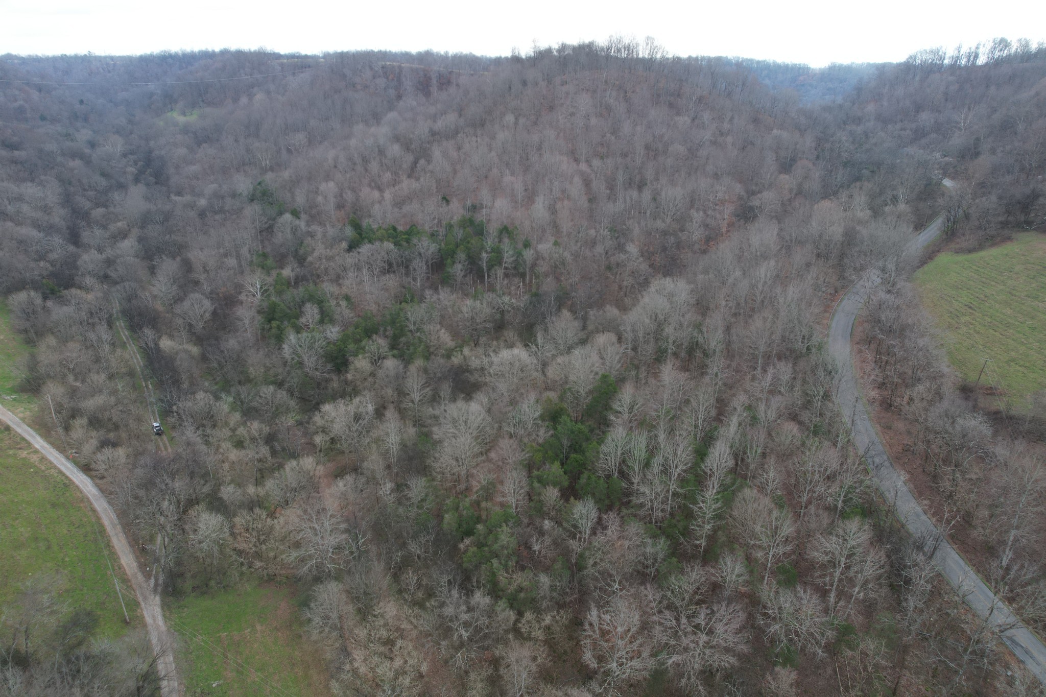 0 Club Springs Road Elmwood, TN 38560 - Photo 8 of 9 a view of a forest with a mountain