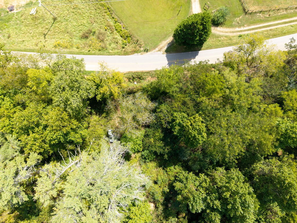 1305 Qualla Road Hayesville, NC 28904 - Photo 10 of 21 Gallery Image 10