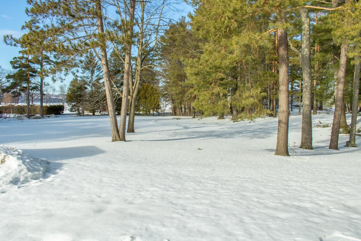 1160 Bluff Road Newport, VT 05855 - Photo 25 of 31