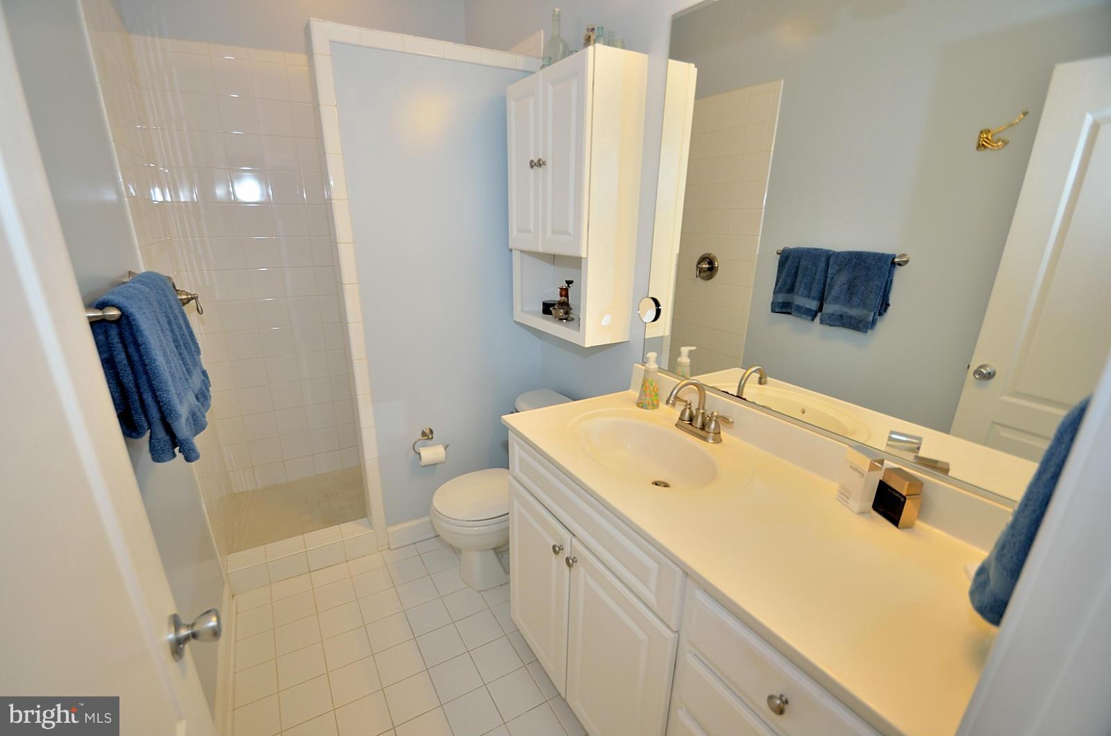 386 Myrtle Place Occoquan, VA 22125 - Photo 19 of 30 Master Bath w/Ceramic Floor & Shower!