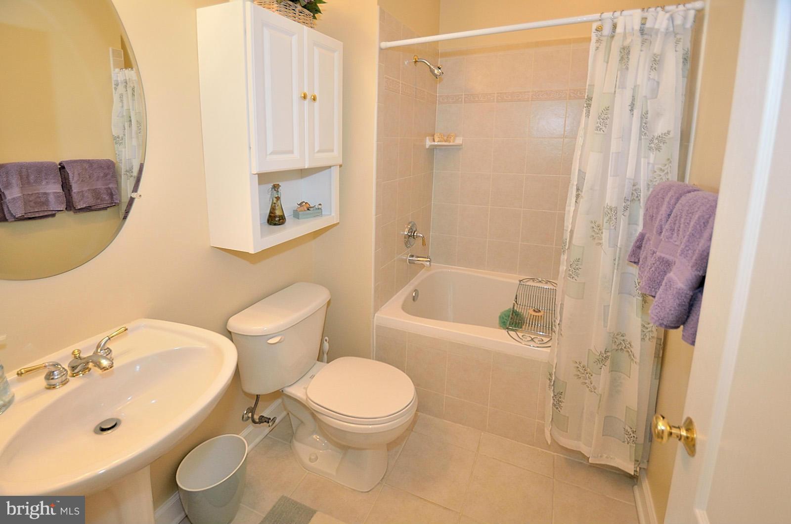 386 Myrtle Place Occoquan, VA 22125 - Photo 22 of 30 Guest Bath!