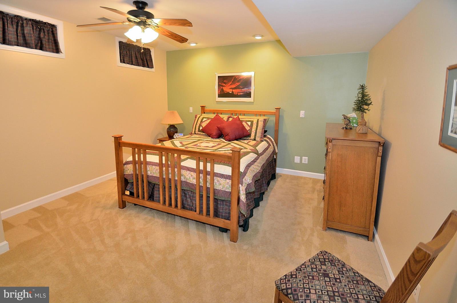 386 Myrtle Place Occoquan, VA 22125 - Photo 25 of 30 Lower Level Den/Au Pair Suite!