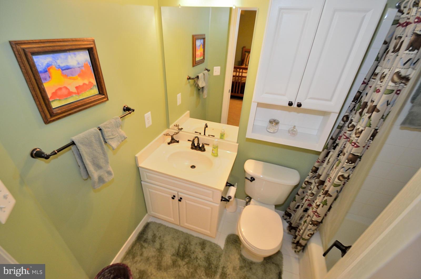 386 Myrtle Place Occoquan, VA 22125 - Photo 26 of 30 Lower Level Full Bath!